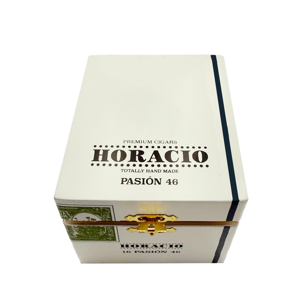 Pasion 46