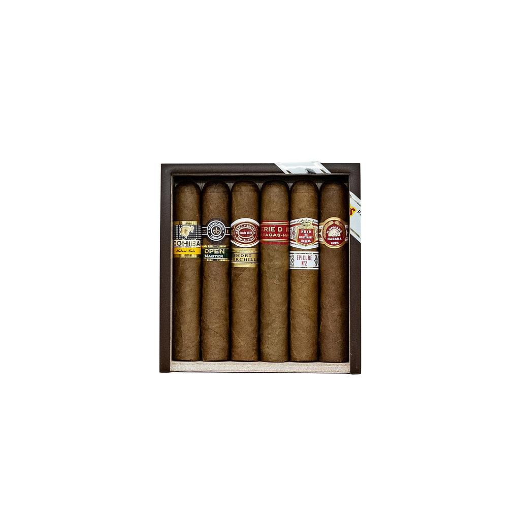 Cohiba Seleccion Robusto (6)