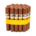 Cohiba Robustos
