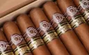 Montecristo Elba Edition Limitée 2025